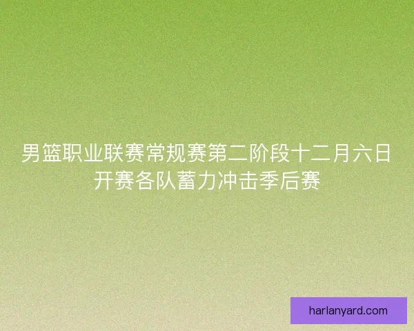 男篮职业联赛常规赛第二阶段十二月六日开赛各队蓄力冲击季后赛